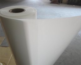 Mylar Polyester Film 6021